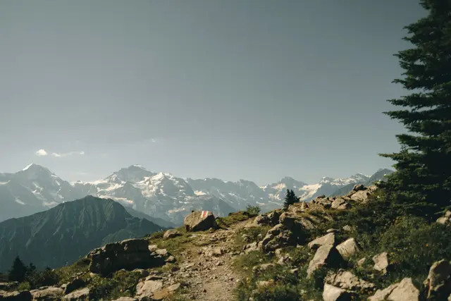 Open alpine trail terrain without any surveillance equipment